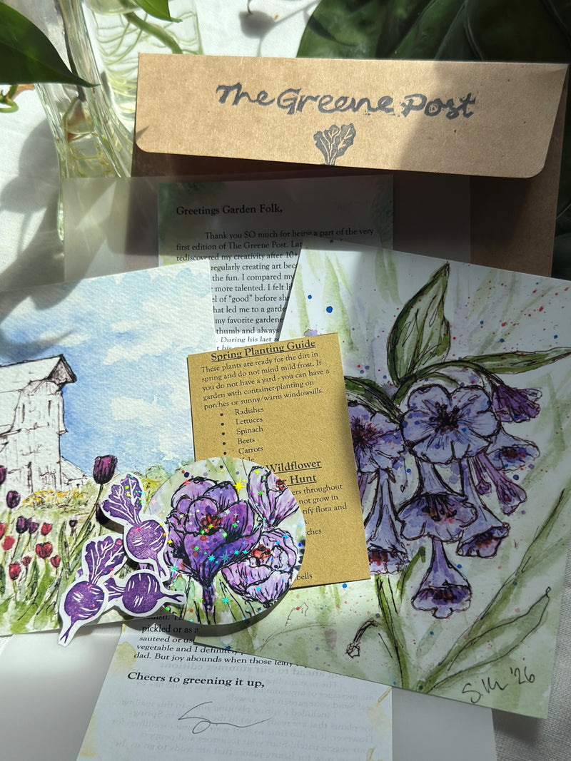 Catch up mailing: Spring